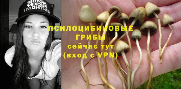 скорость Белокуриха