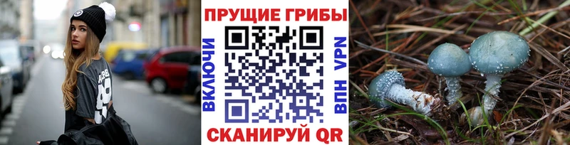 Псилоцибиновые грибы MAGIC MUSHROOMS Малая Вишера