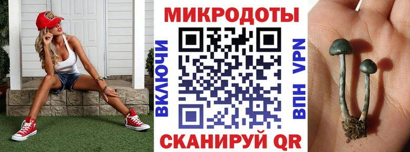 купить наркоту  Малая Вишера  Псилоцибиновые грибы Psilocybe 